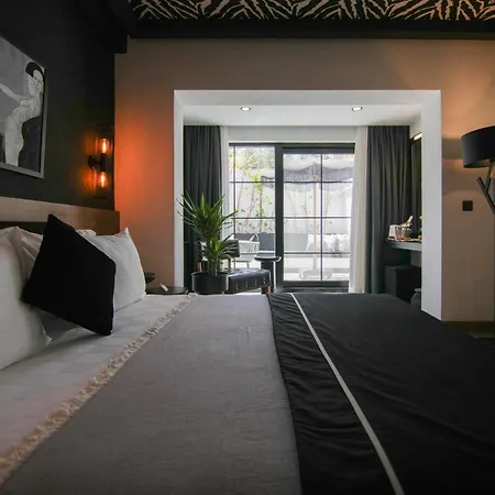 The Local House 5*