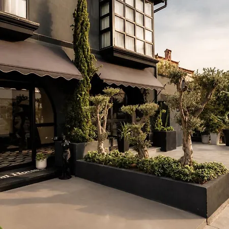 The Local House ألاتشاتي