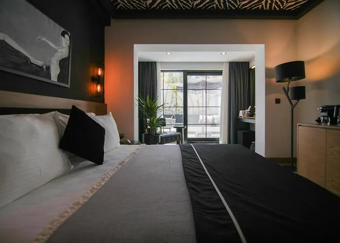 The Local House 5*